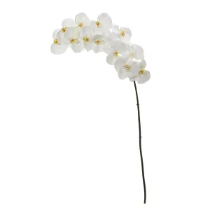 44" Artificial Phalaenopsis Orchid Flower (Set of 3) - Low Maintenance, Life-Like & Vibrant Silk Flowers For Busy People.