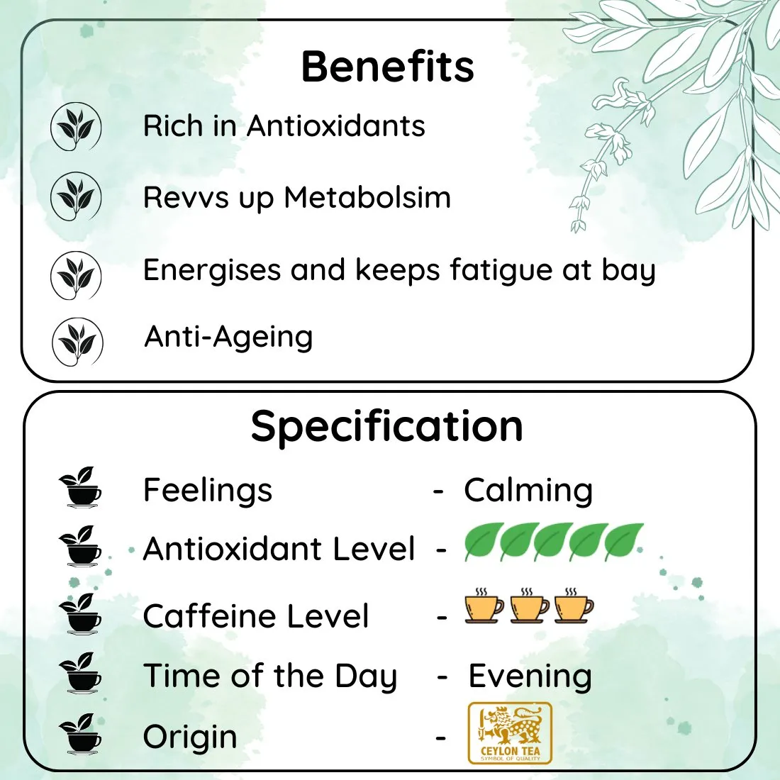 Energy Lanka Sencha Tea- A Tea That's Fresh and Zesty