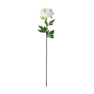Floriana Peony White 98cm