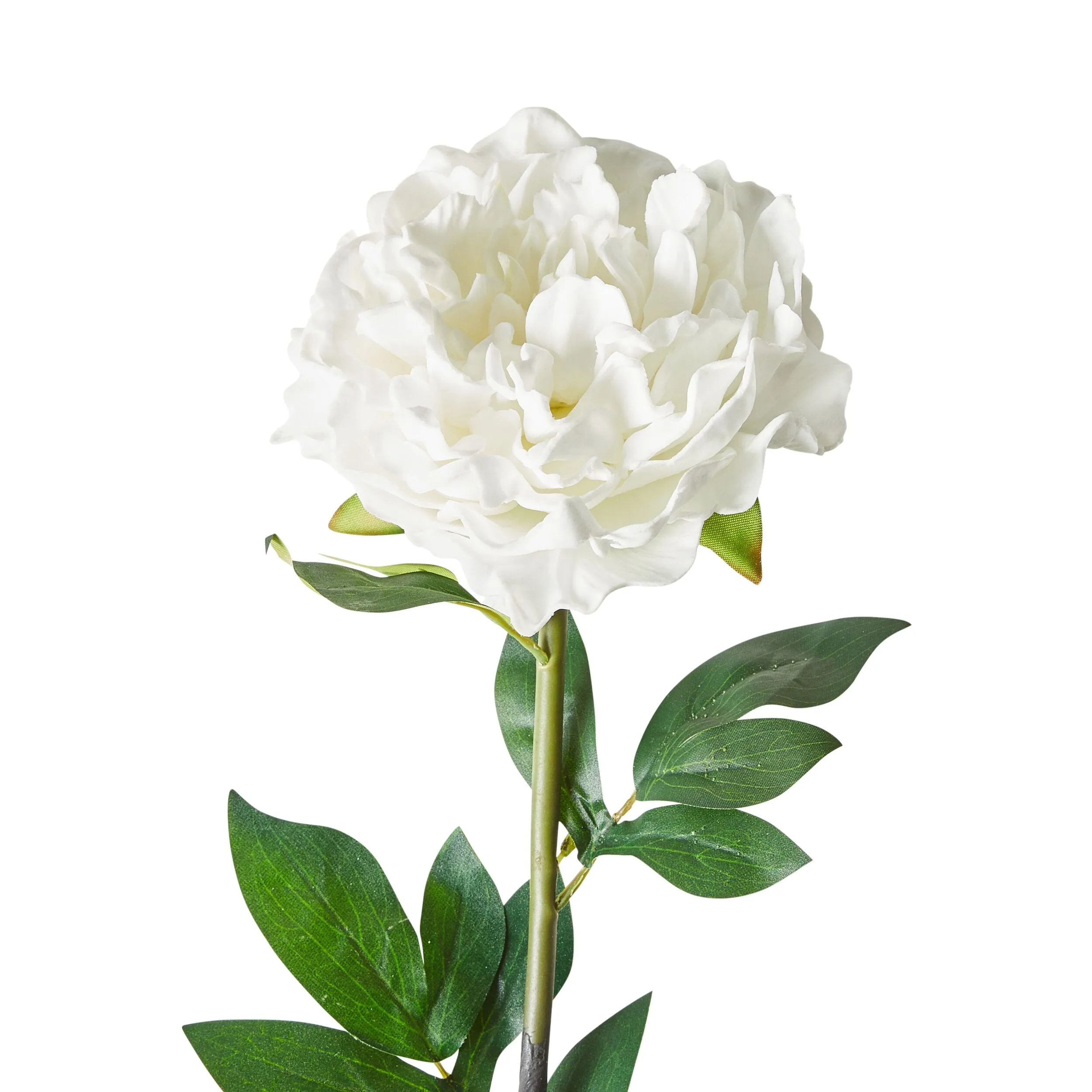 Floriana Peony White 98cm
