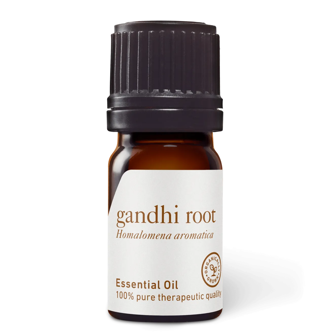 Ghandi Root Essential Oil