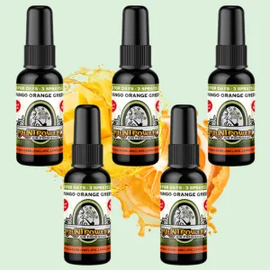 Mango Orange Green Air Freshener Bundle (5 Pack)