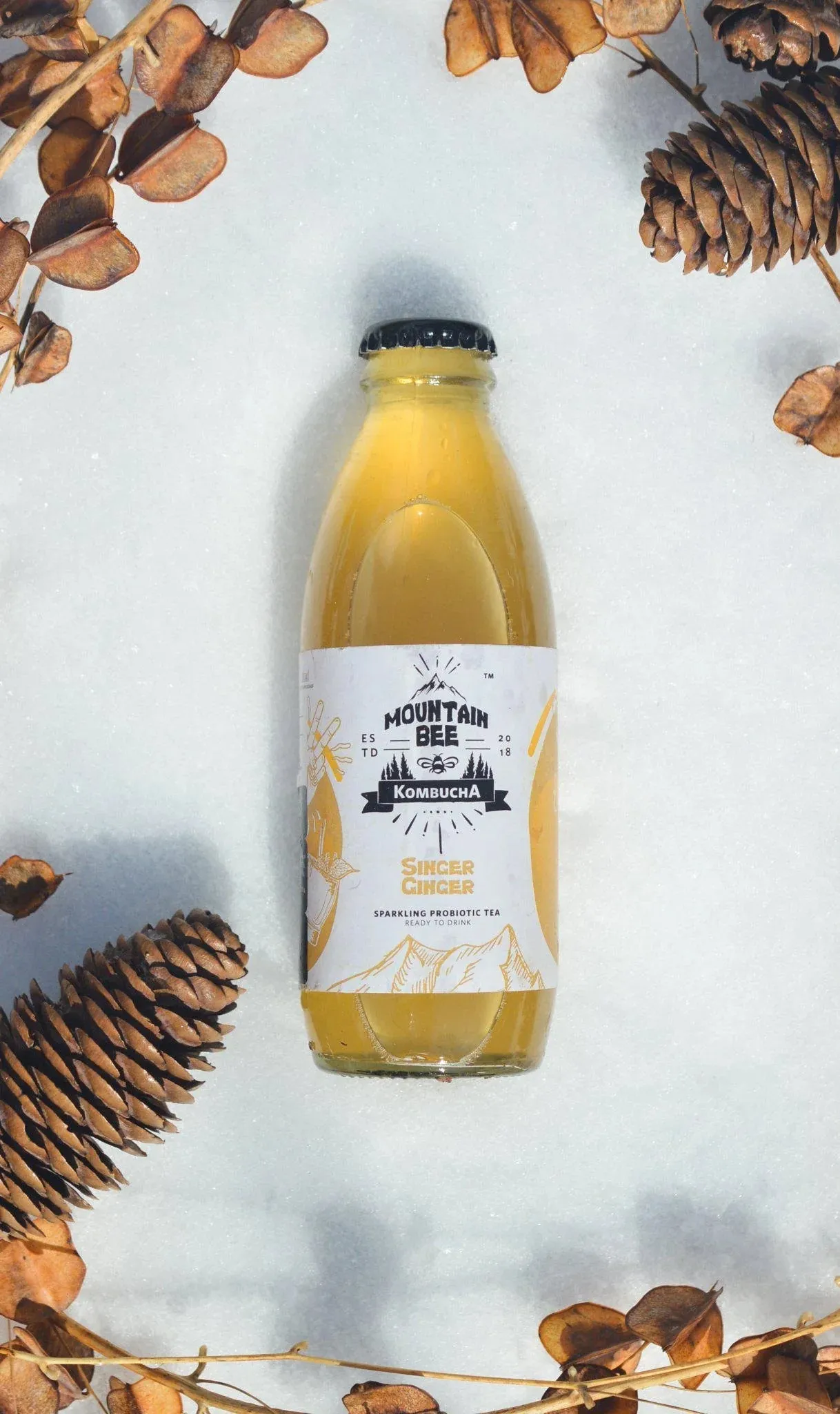 Mountain Bee Kombucha - Singer Ginger - Pack of 6