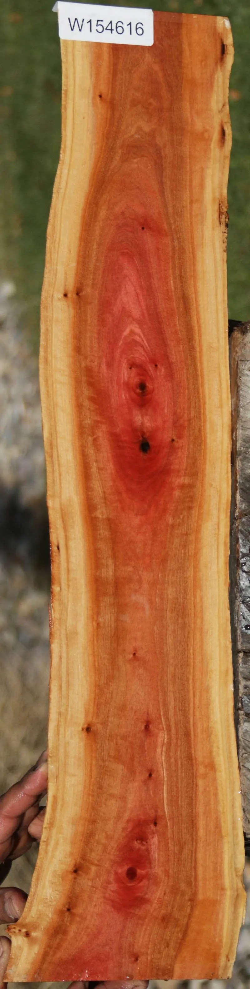 Pink Ivory Live Edge Micro Lumber