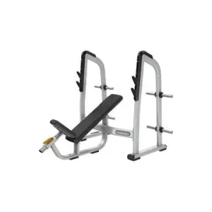 Precor Discovery Series Olympic Incline Bench (DBR0410)