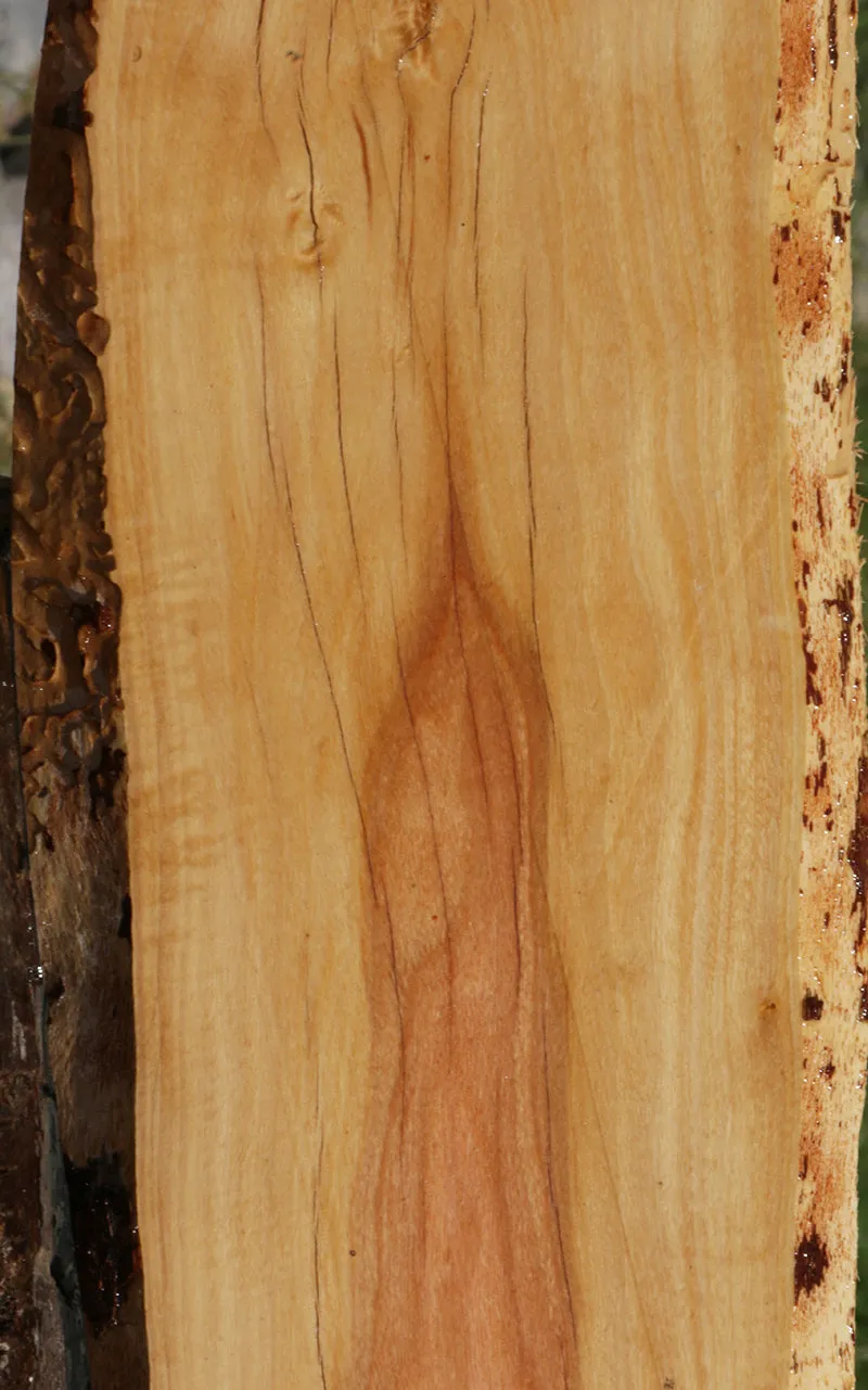 Rustic Pink Ivory Live Edge Micro Lumber