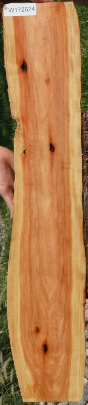 Rustic Pink Ivory Live Edge Micro Lumber