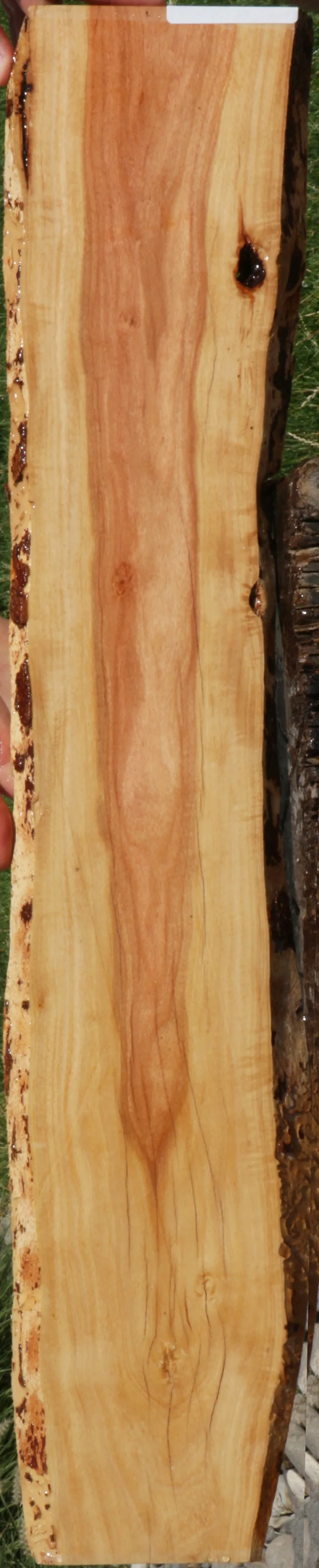 Rustic Pink Ivory Live Edge Micro Lumber