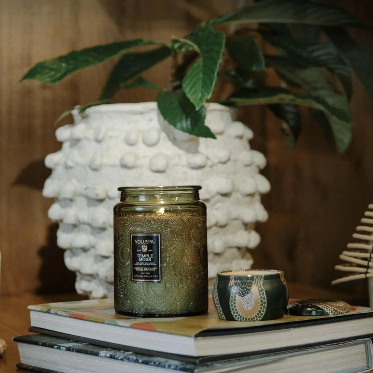 Temple Moss 100Hr Candle