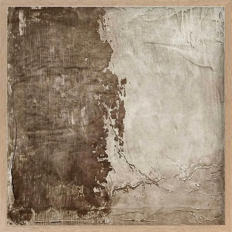 Weathered I Framed Art Print